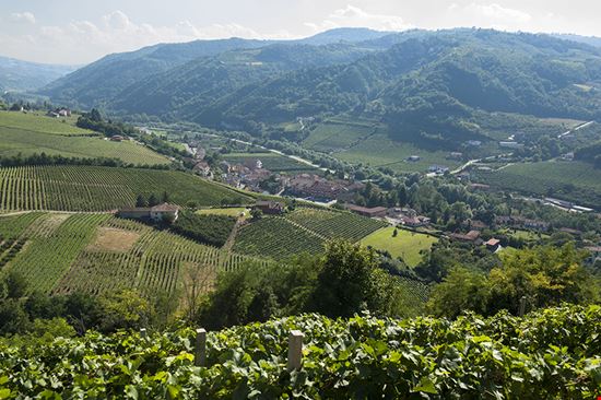 7° Trail del Moscato Santo Stefano Belbo